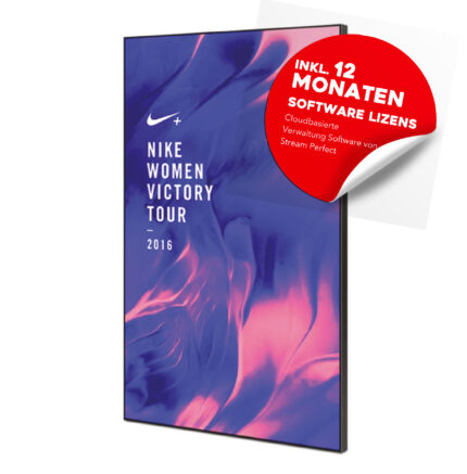 DayLight 3000 Werbedisplay 55”